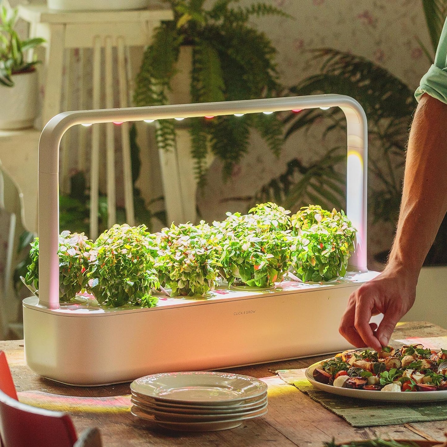 Click & Grow Indoor Herb Garden Kit with Grow Light