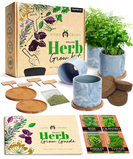 HOME GROWN Indoor Herb Garden Kit w/Glazed Ceramic Pot